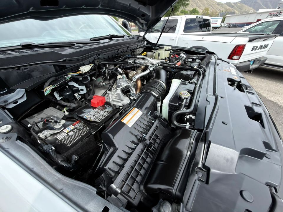 Main image 6