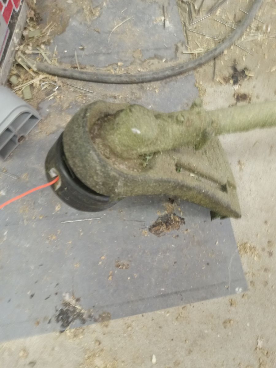 Main image 4