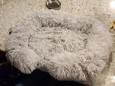 Small animal beds 2 for 20