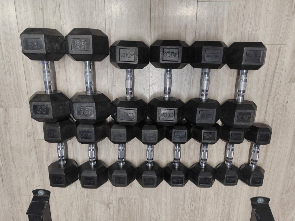 Gym Equipment and Free Weights