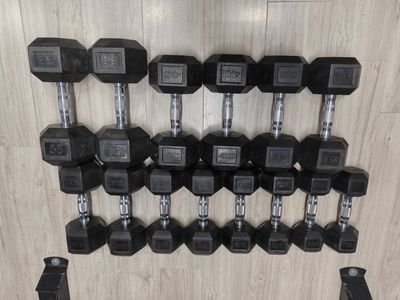Gym Equipment and Free Weights