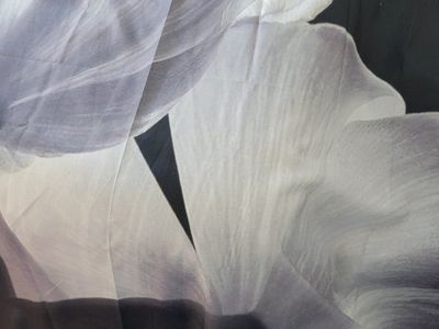 84" Monocromatic Shower Curtain