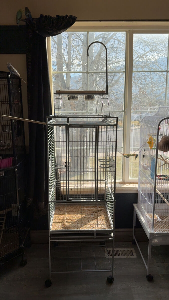 Bird Cage With Stand On Top