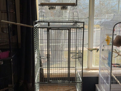 Bird Cage With Stand On Top