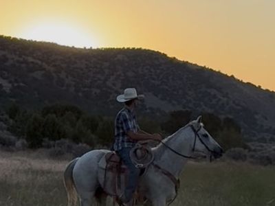 AQHA MARE