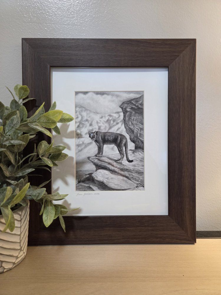 Western Cougar Drawing Landscape