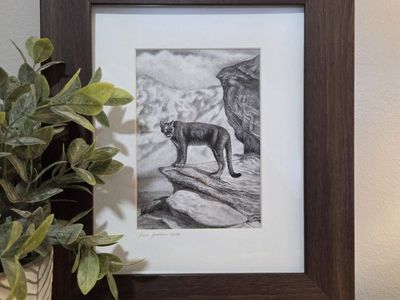 Western Cougar Drawing Landscape