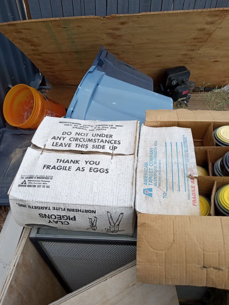 Clay Pigeons