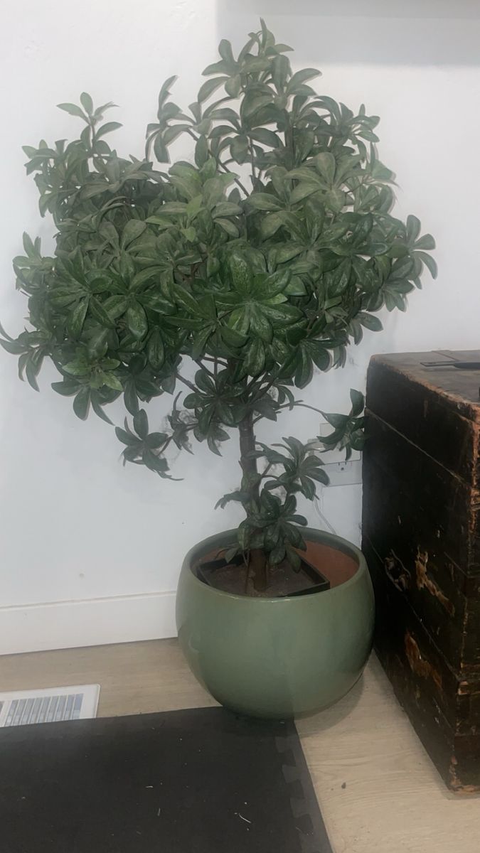 Main image 3