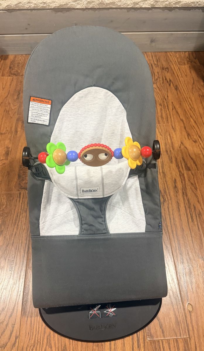 Baby Bjorn with toy Bar baby bouncer