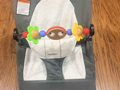 Baby Bjorn with toy Bar baby bouncer
