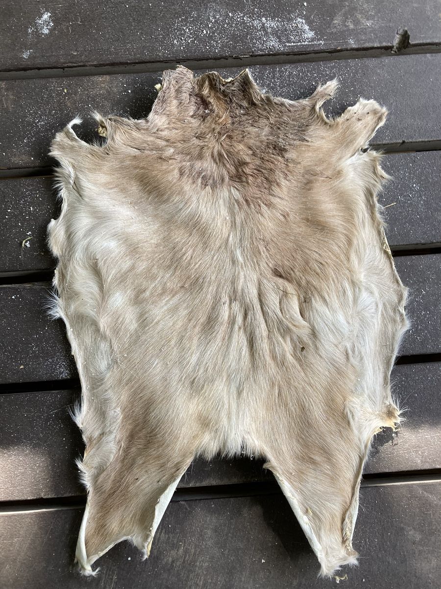 Main image 3