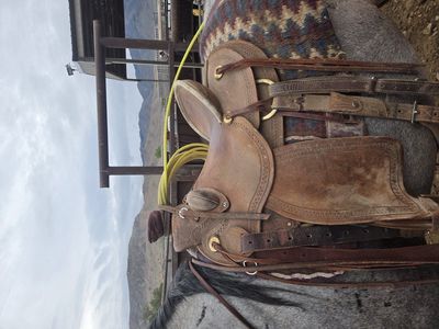 corientie saddle for sale