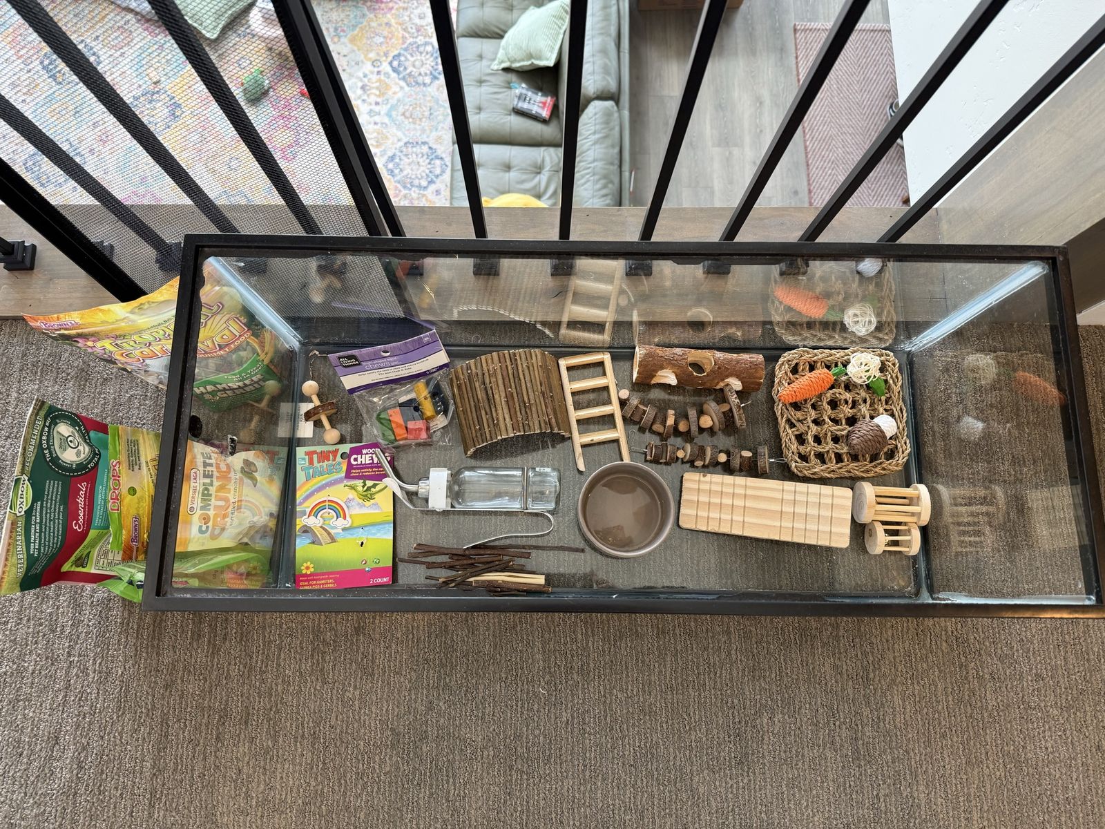 Hamster Habitat Starter Kit with 20-Gallon Glass Tank, Chews, Ladder, Hideout, Food Dish, Water Bottle