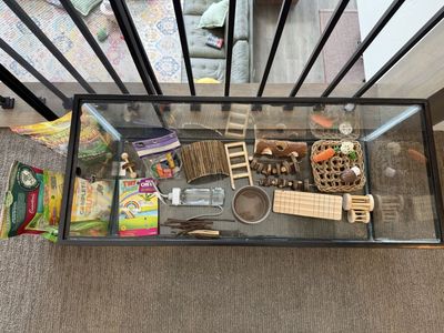 Hamster Habitat Starter Kit with 20-Gallon Glass Tank, Chews, Ladder, Hideout, Food Dish, Water Bottle