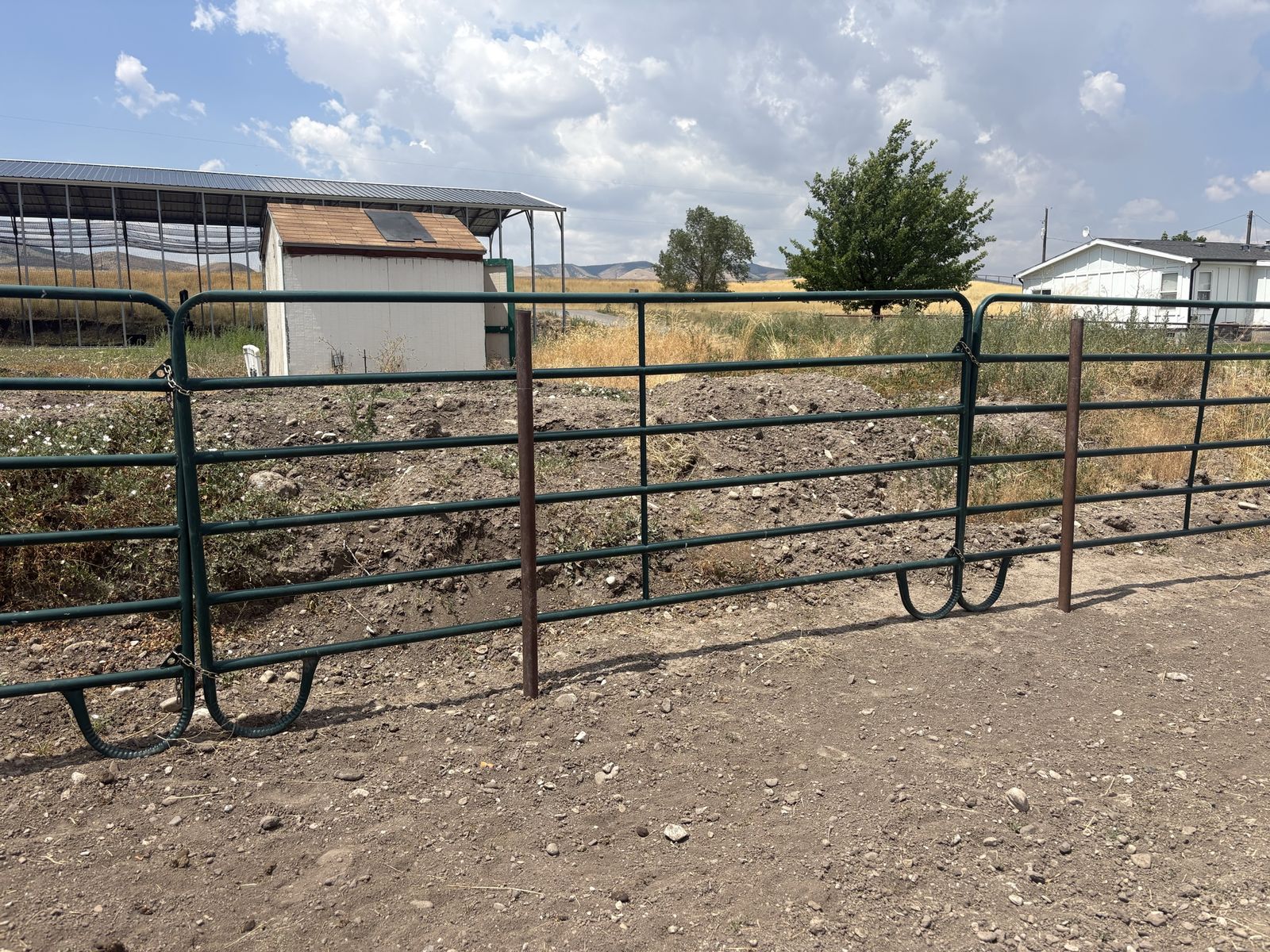 12 Foot Horse Panels