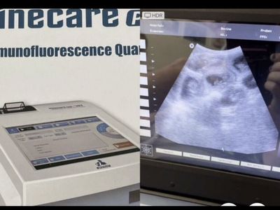 Progesterone, Ultrasound, Dog Breeding Poodle Stud