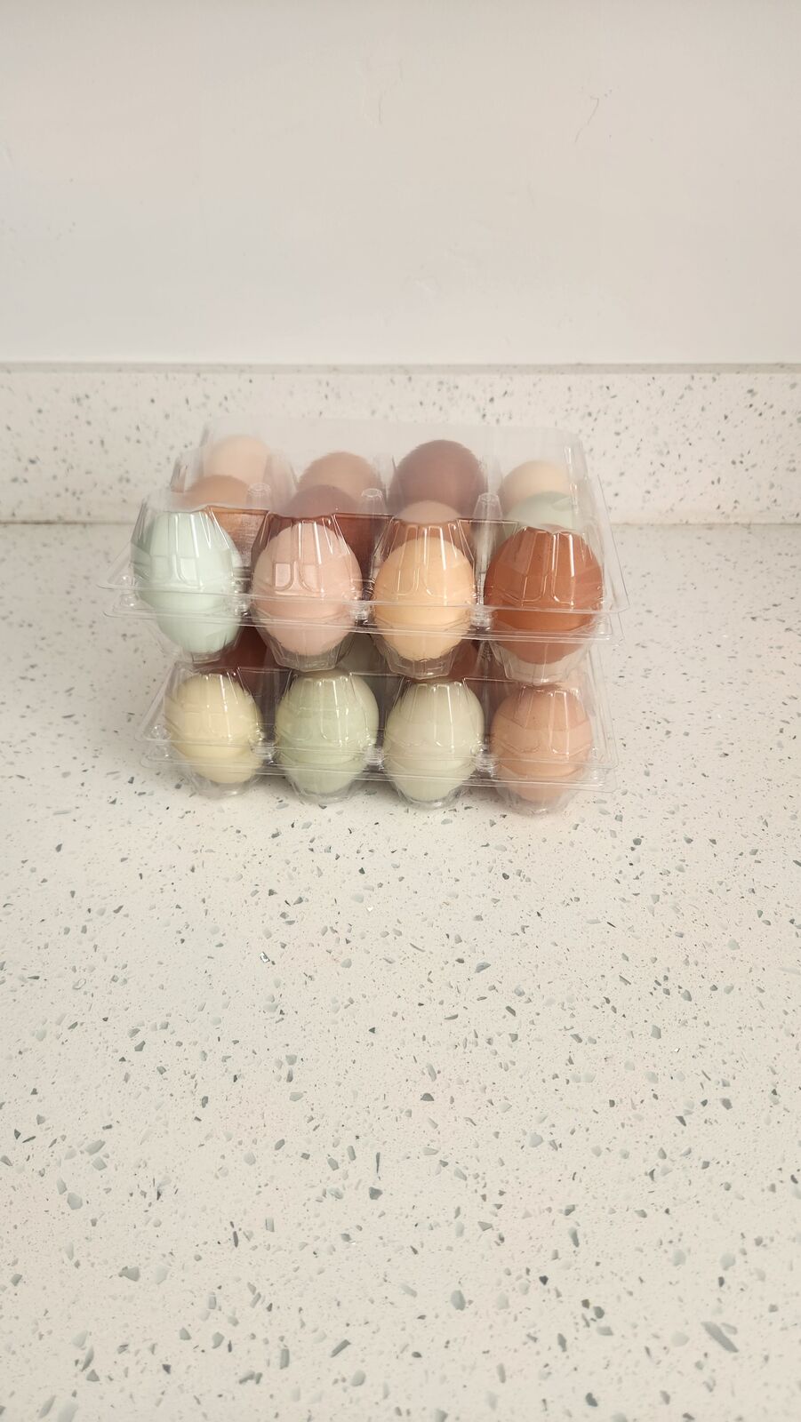Fresh eggs, laid, gathered and packed daily!