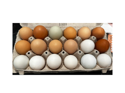 Fresh Eggs from the Happiest Little Hen House in Hooper Utah 18 count