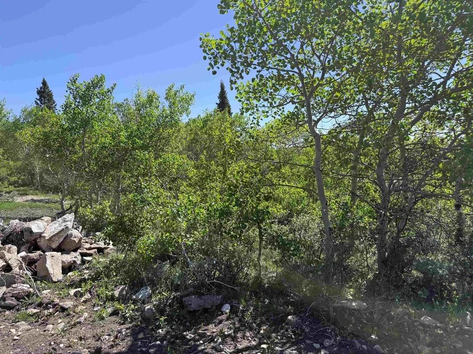 Main image 19