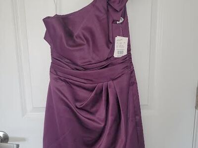 David's Bridal Women's Dress