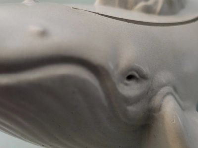 Whale (•̩̥̀‿•̩̥̀) Blue trinkt box plantr mountain