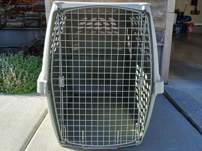 Pet Carrier N2N Plastic Airline Approved Travel Crate Kennel large Dog/Cat