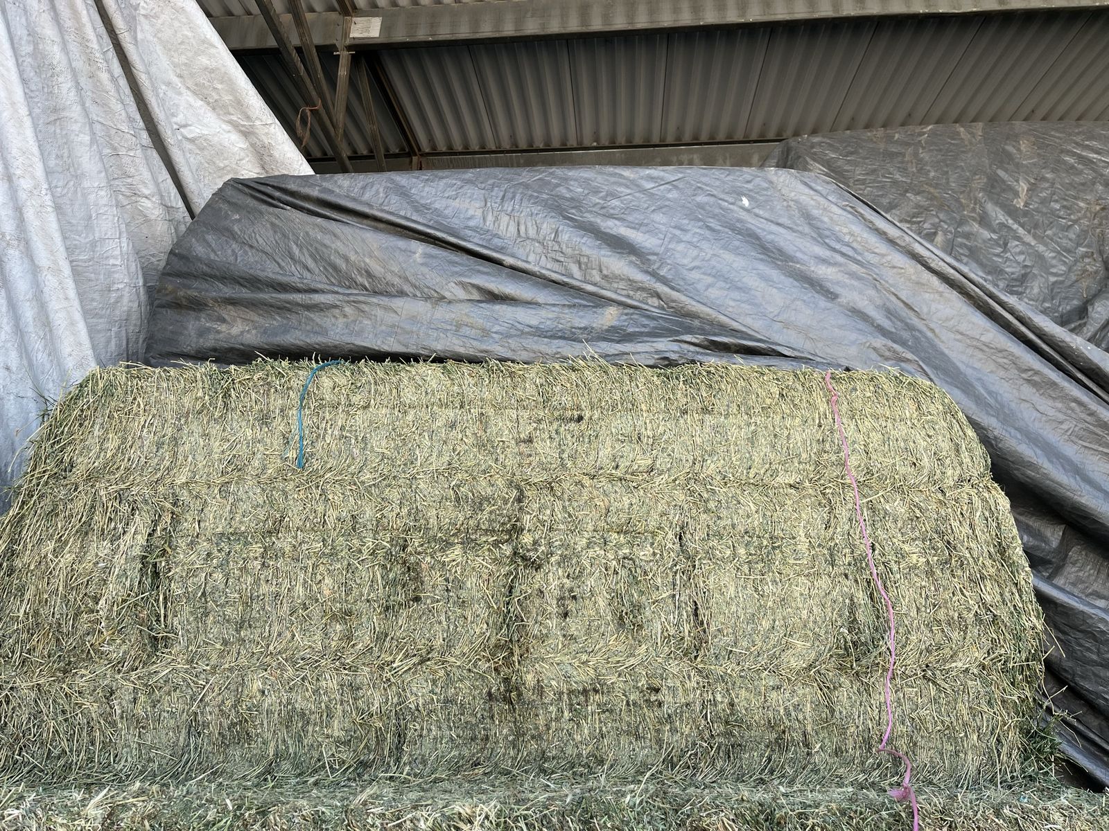 3x3 Horse Quality Alfalfa