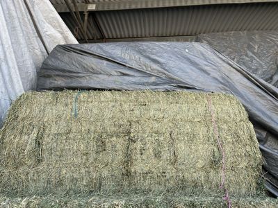 3x3 Horse Quality Alfalfa