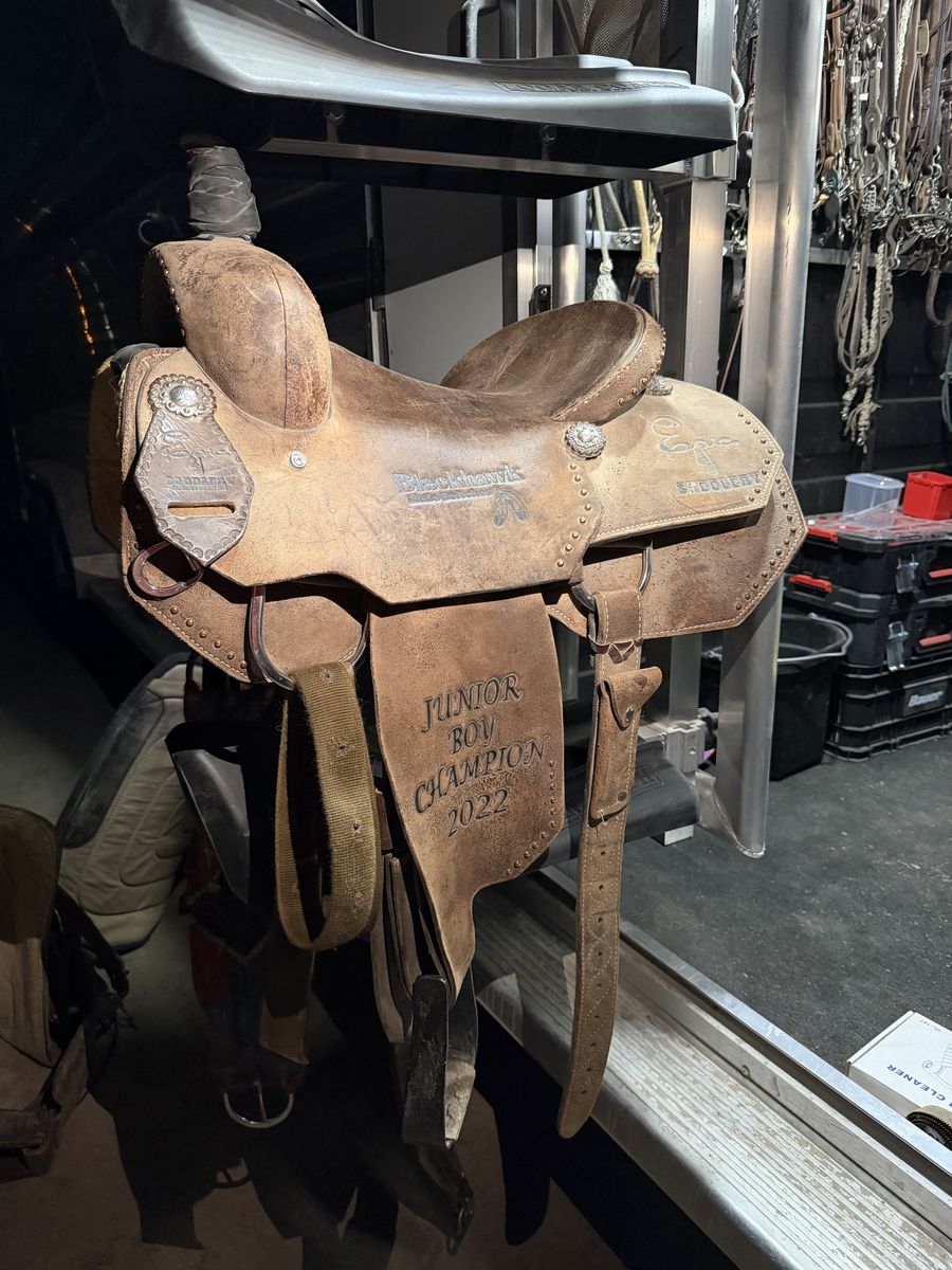 Epic Saddle
