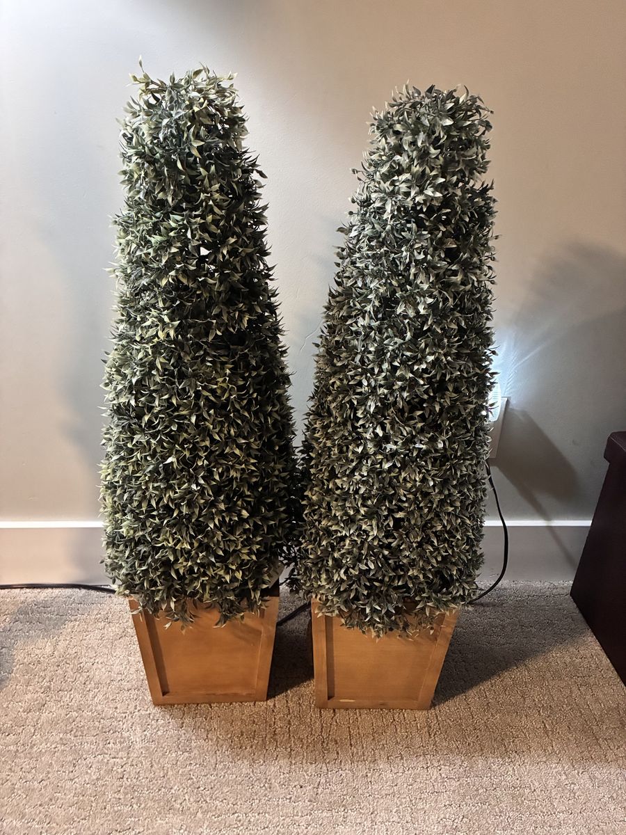Lighted Topiary Trees (Set of 2)