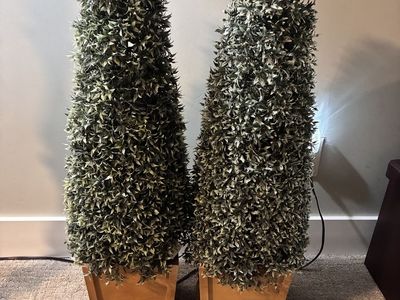 Lighted Topiary Trees (Set of 2)