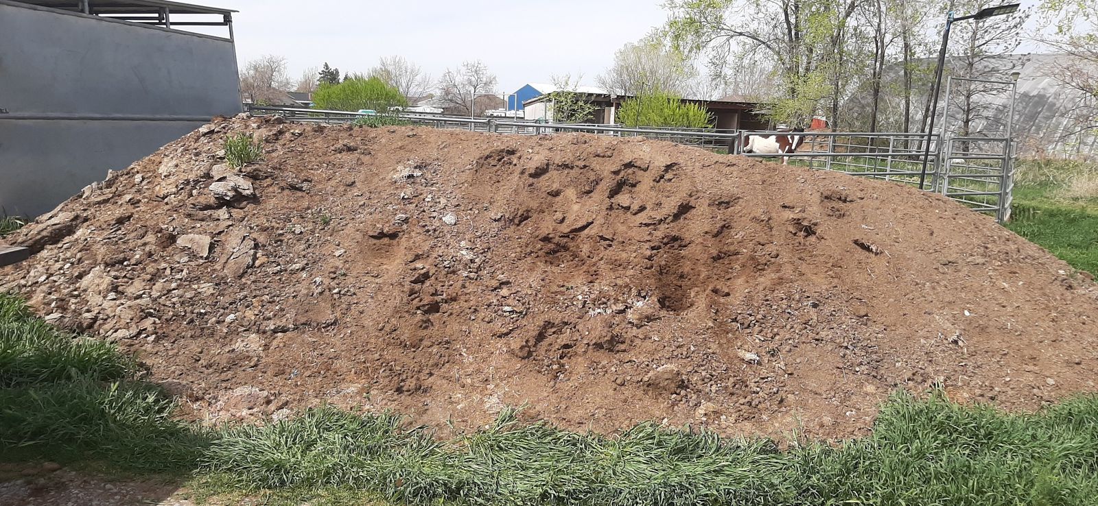 Free Composted Manure