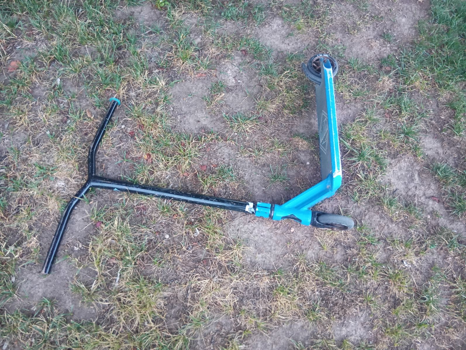 Great  scooter