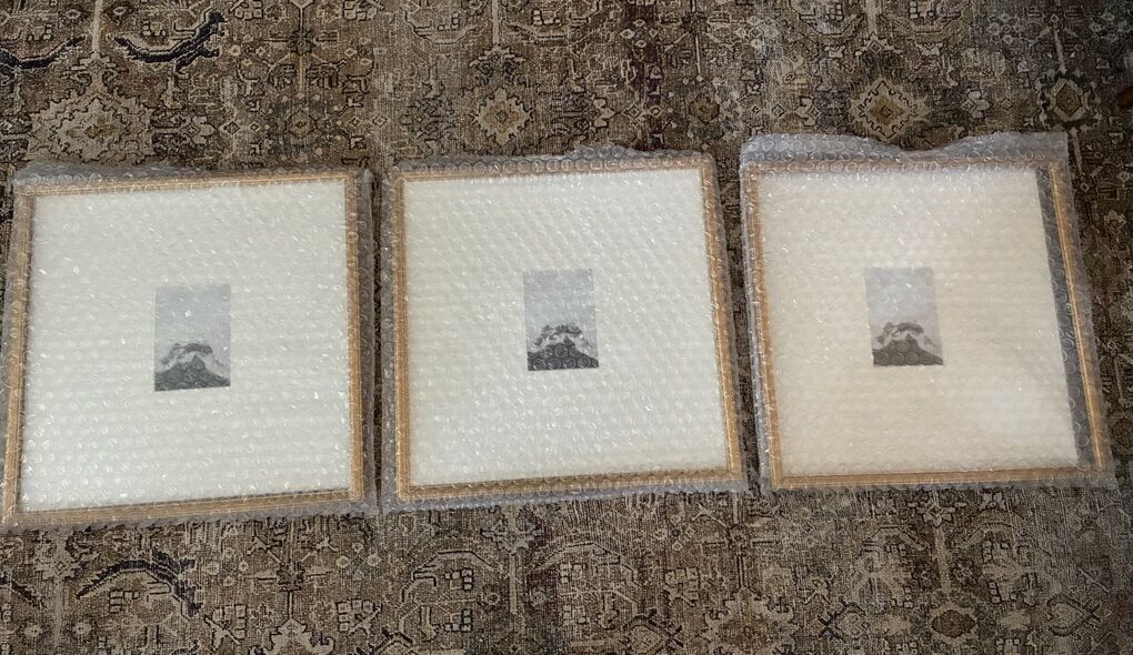 Picture Frames Regularly $195