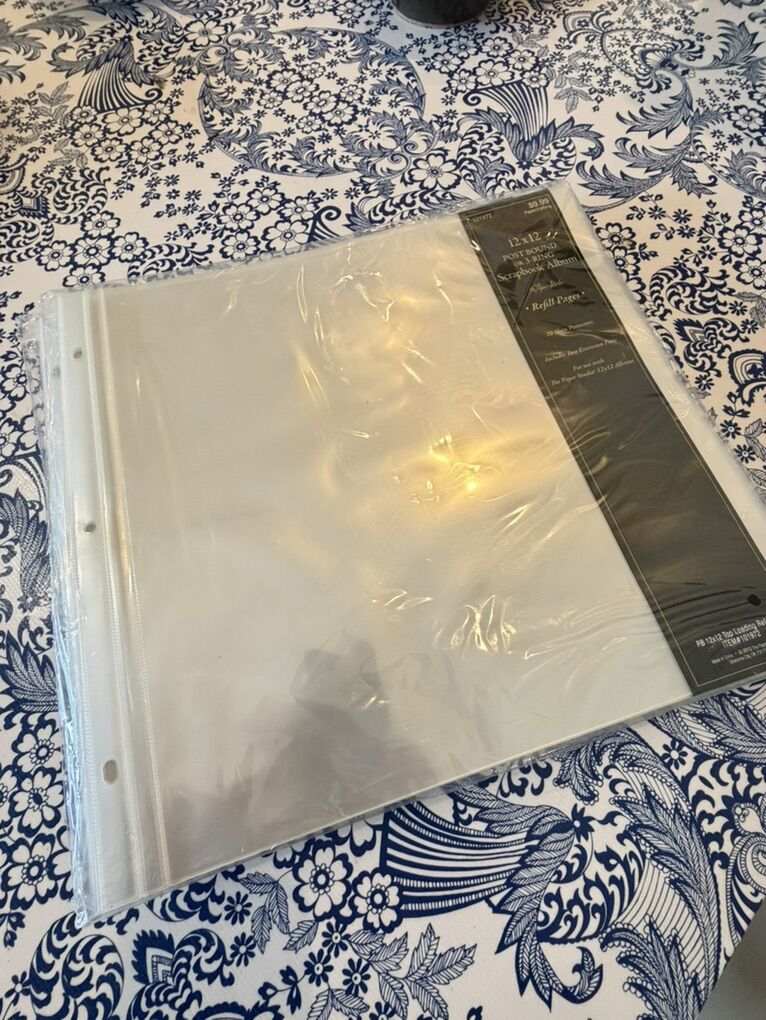 Paper Studio 12 X 12 page protectors