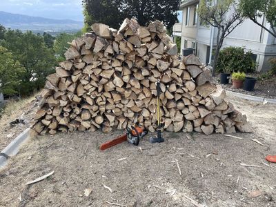 Firewood