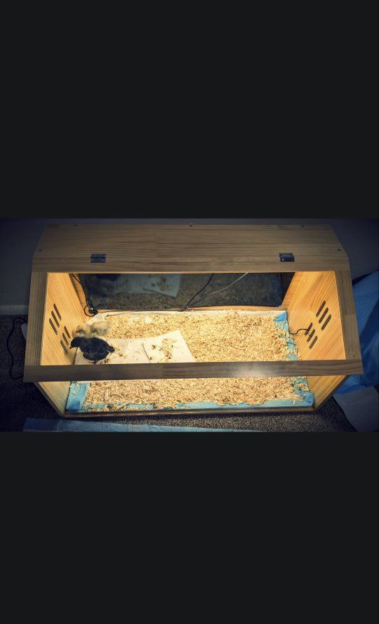 Brand New Handmade Wooden Chick Brooder Box with Heat Lamp & Ventilation