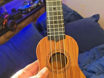 17in ukulele
