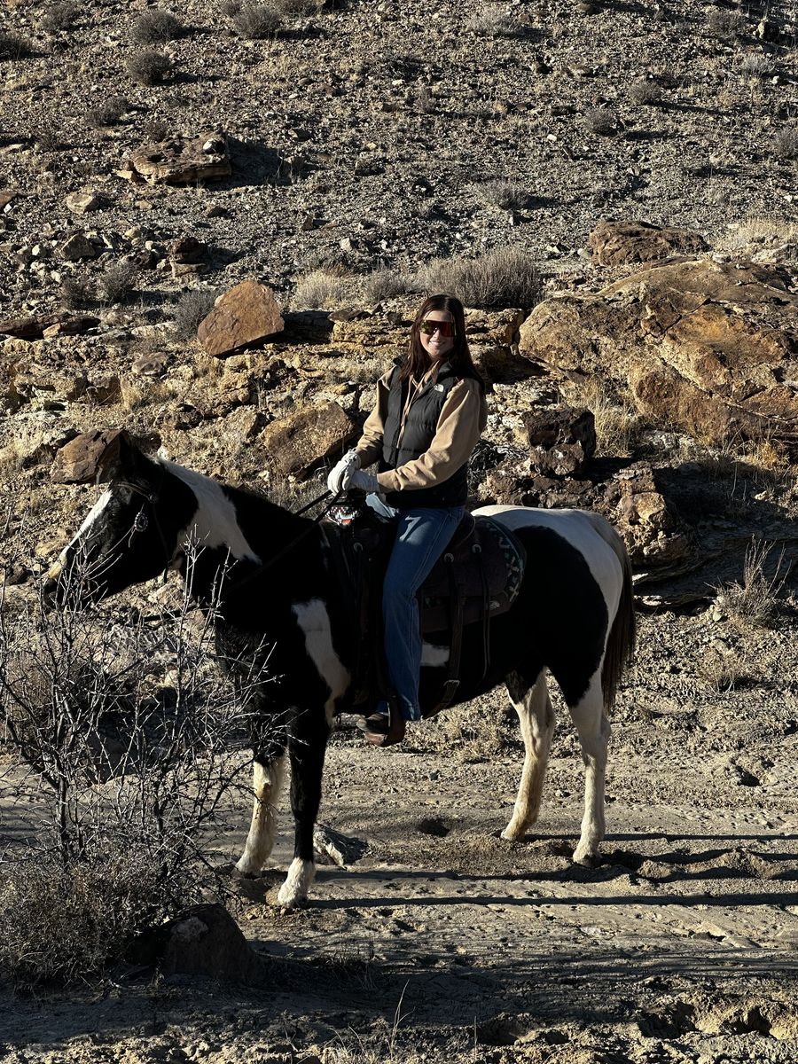 Kids Horse