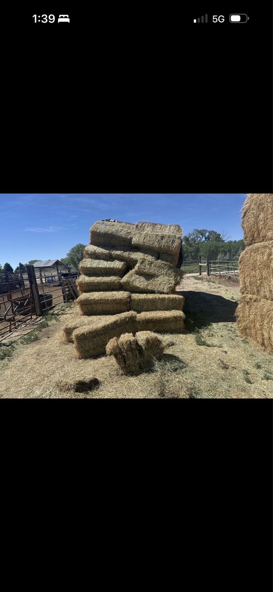 Quality Hay Bales for Livestock or Landscaping - Freshly Baled & Ready for Pickup