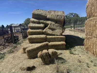 Quality Hay Bales for Livestock or Landscaping - Freshly Baled & Ready for Pickup