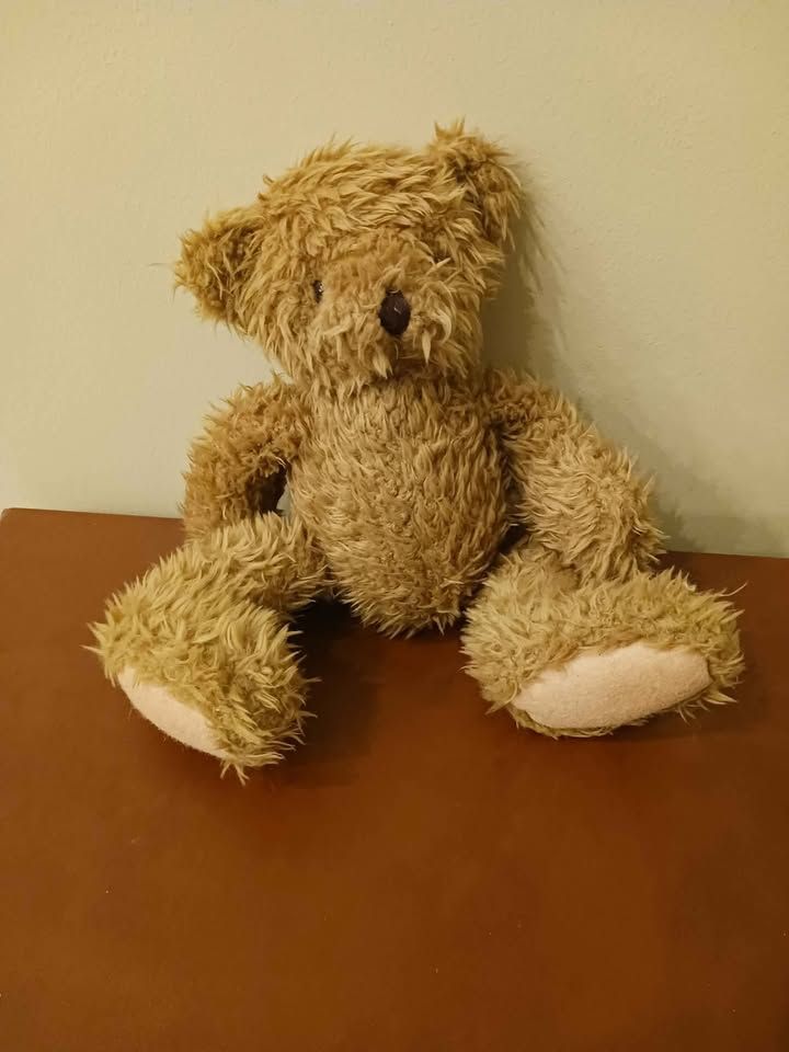 Old Fashioned Teddy Bear