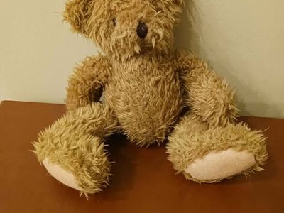 Old Fashioned Teddy Bear