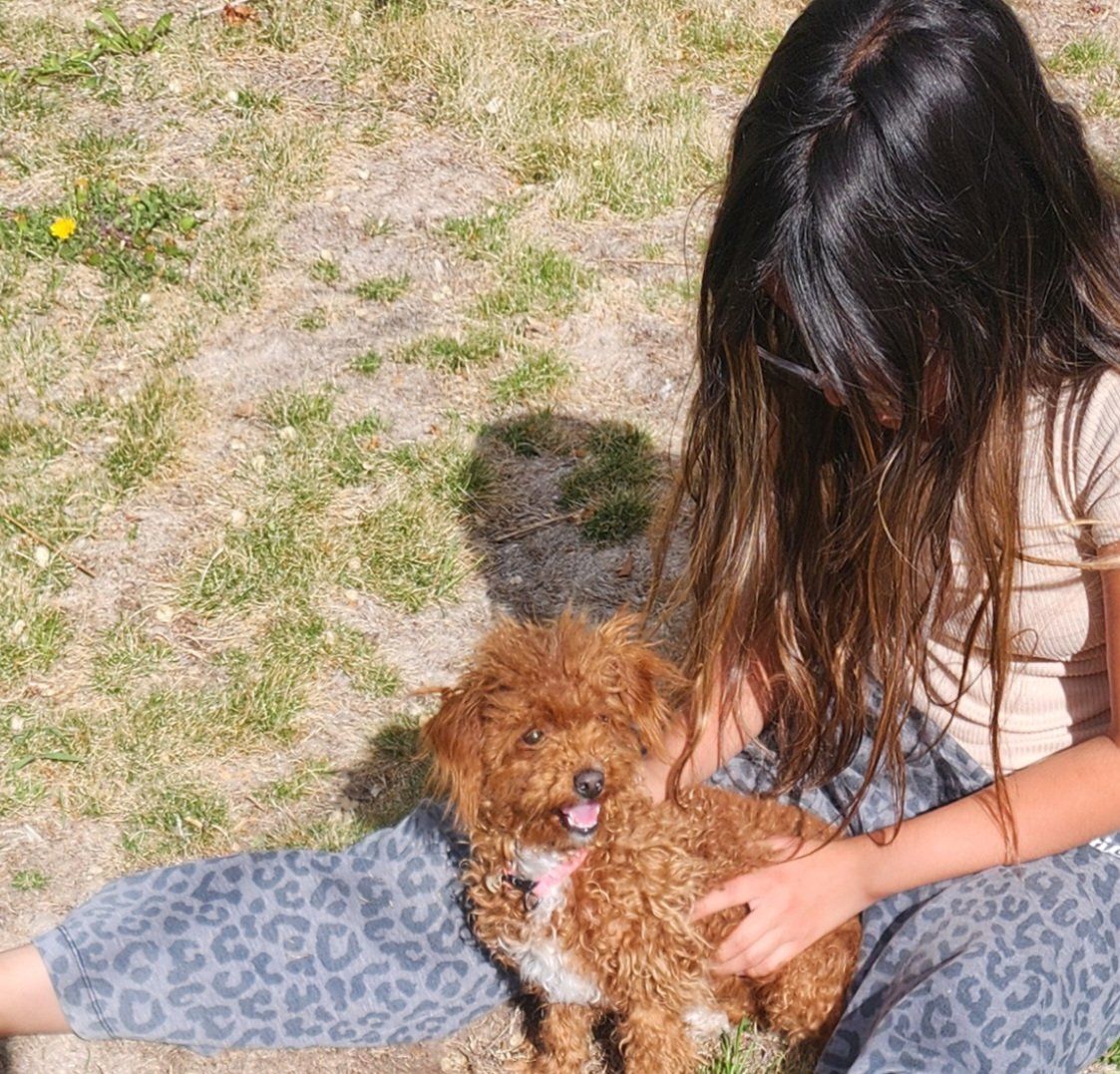 9 month old toy poodle