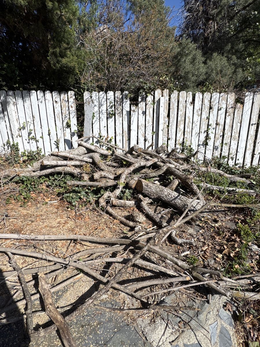Fire Wood (Oak)