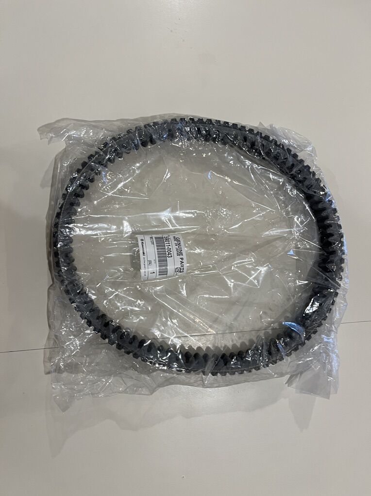 Brand New Teryx4 OEM Belt