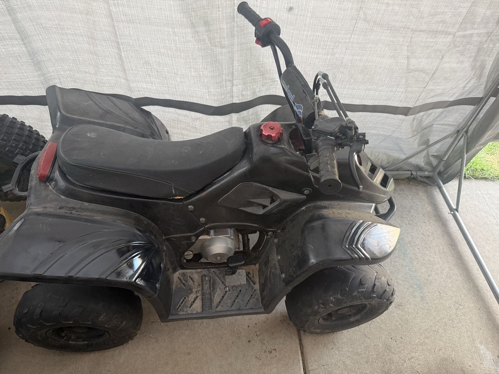 2016 TaoTao 110