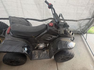 2016 TaoTao 110
