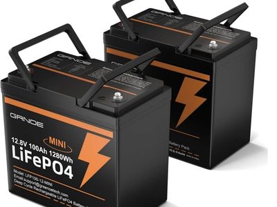 GRNOE 2 Pack 12V 100Ah Mini LiFePO4 Batteries